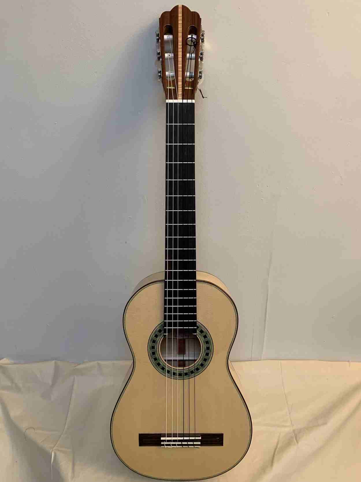 A classical guitar Torres FE17 style model